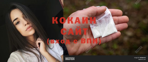 ECSTASY Горняк